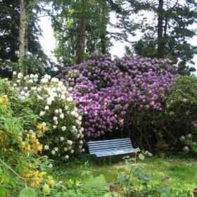 Garten der Ferienwohnungen Brodhun